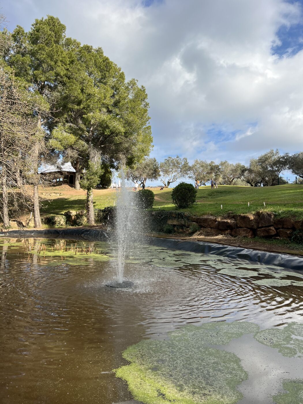 gallery grid image