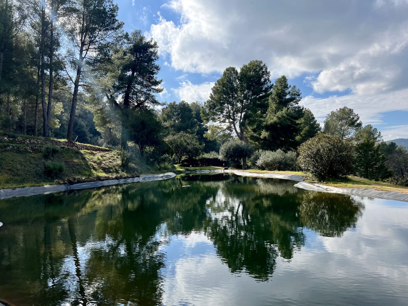 gallery grid image