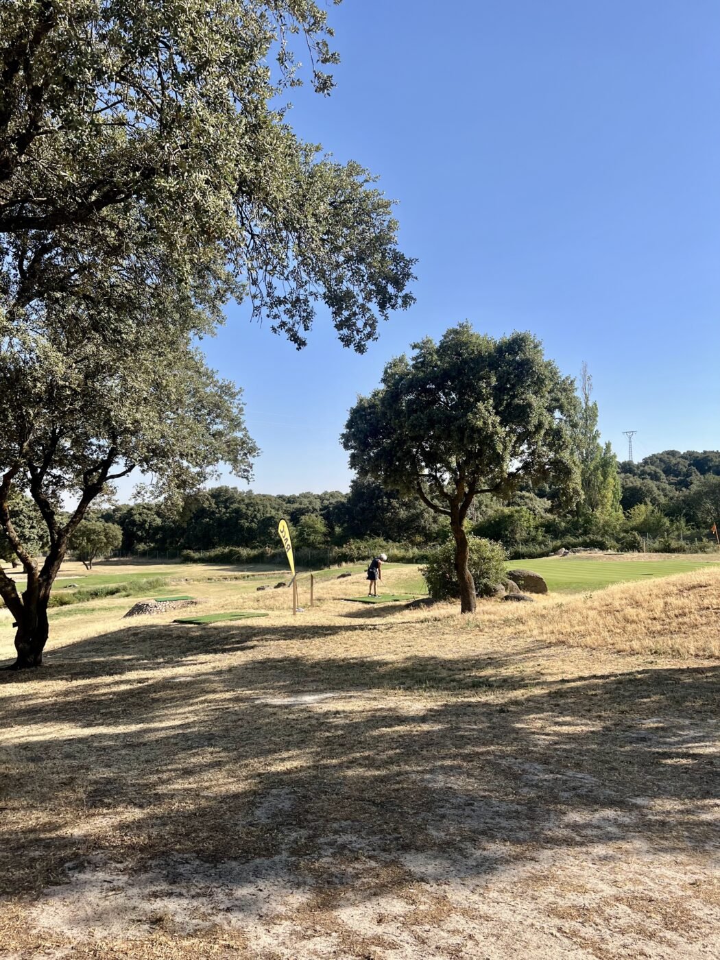 gallery grid image