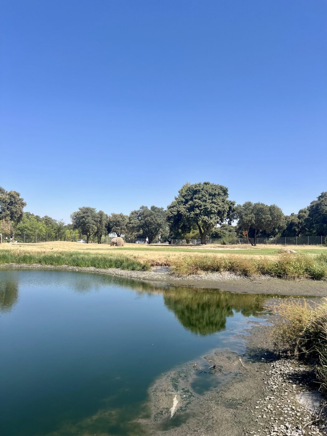 gallery grid image