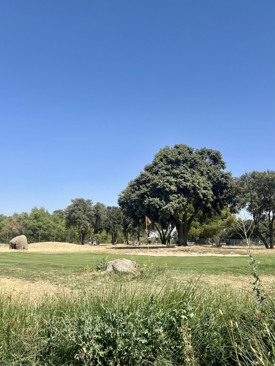 gallery grid image