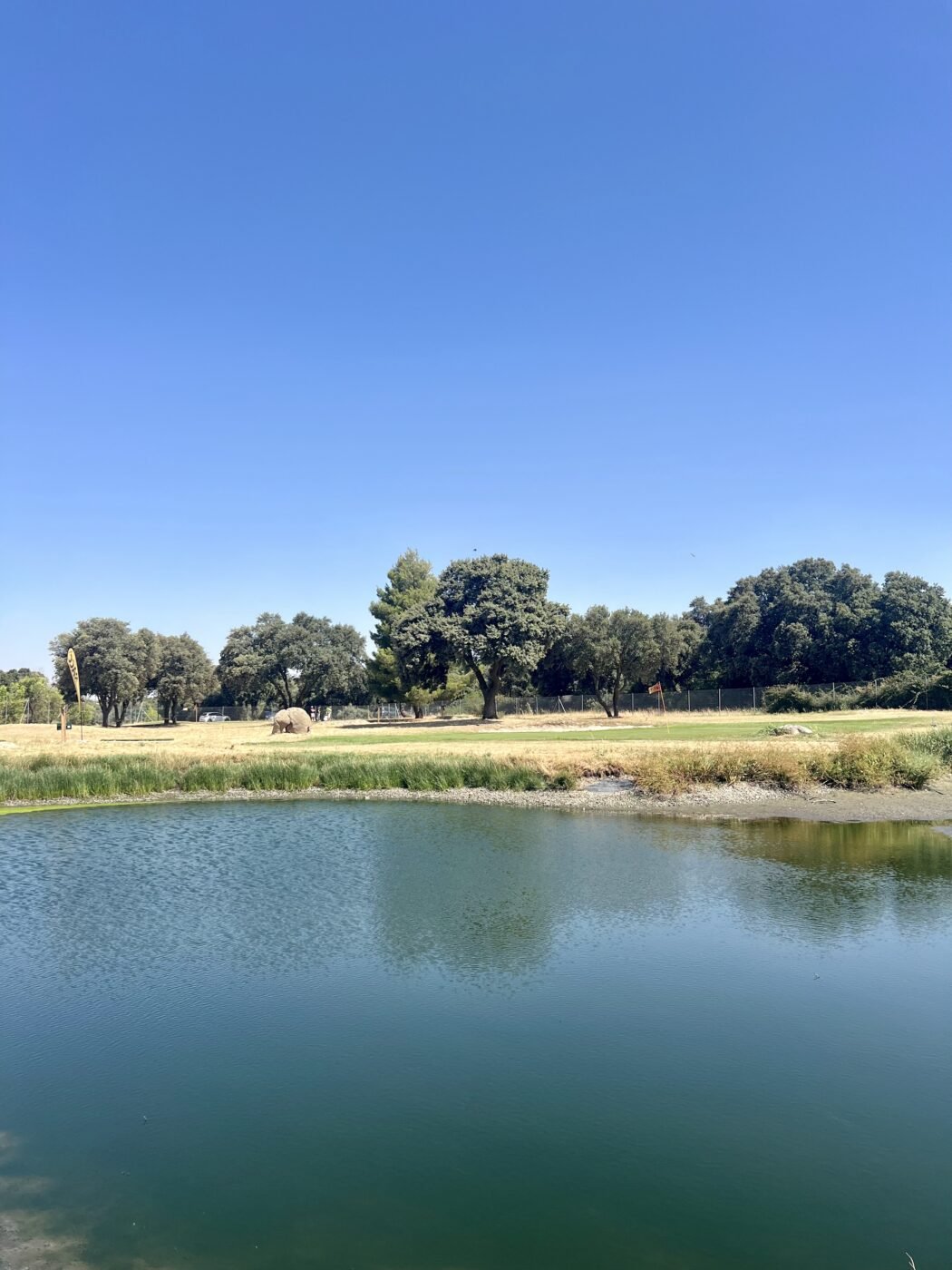 gallery grid image