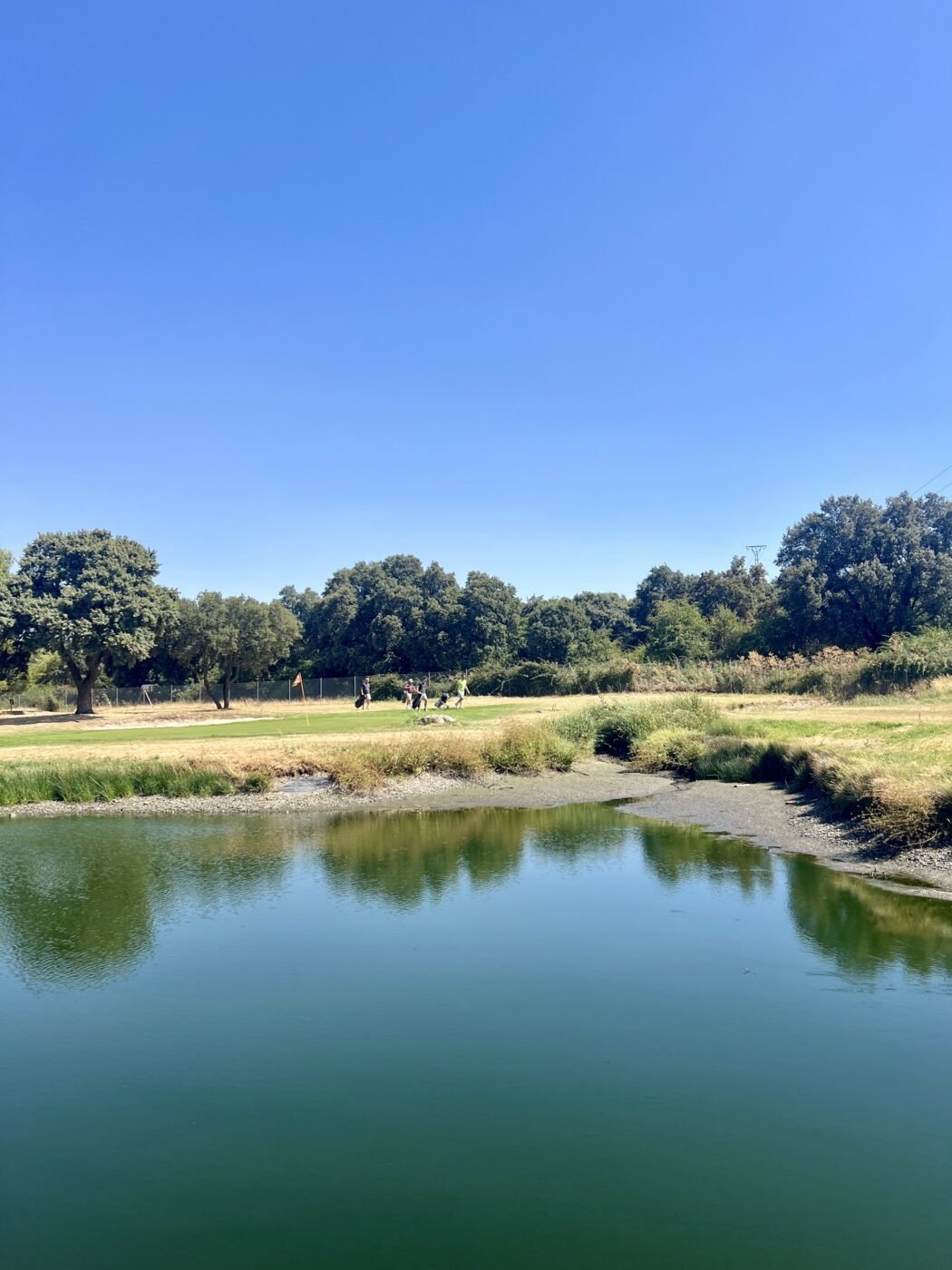 gallery grid image