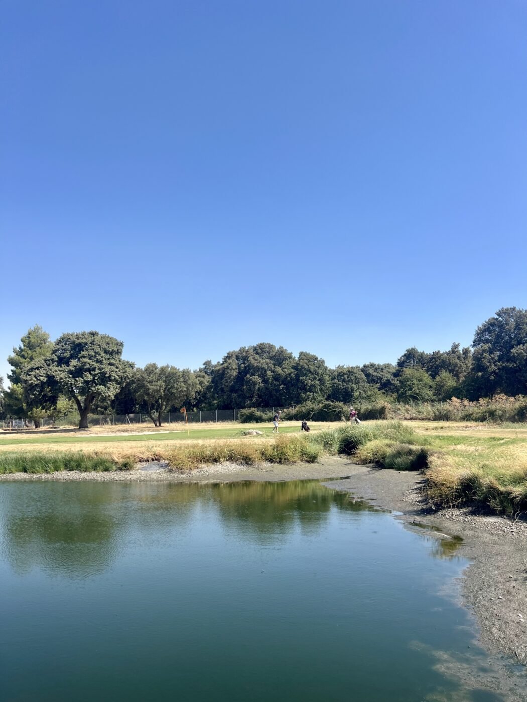 gallery grid image