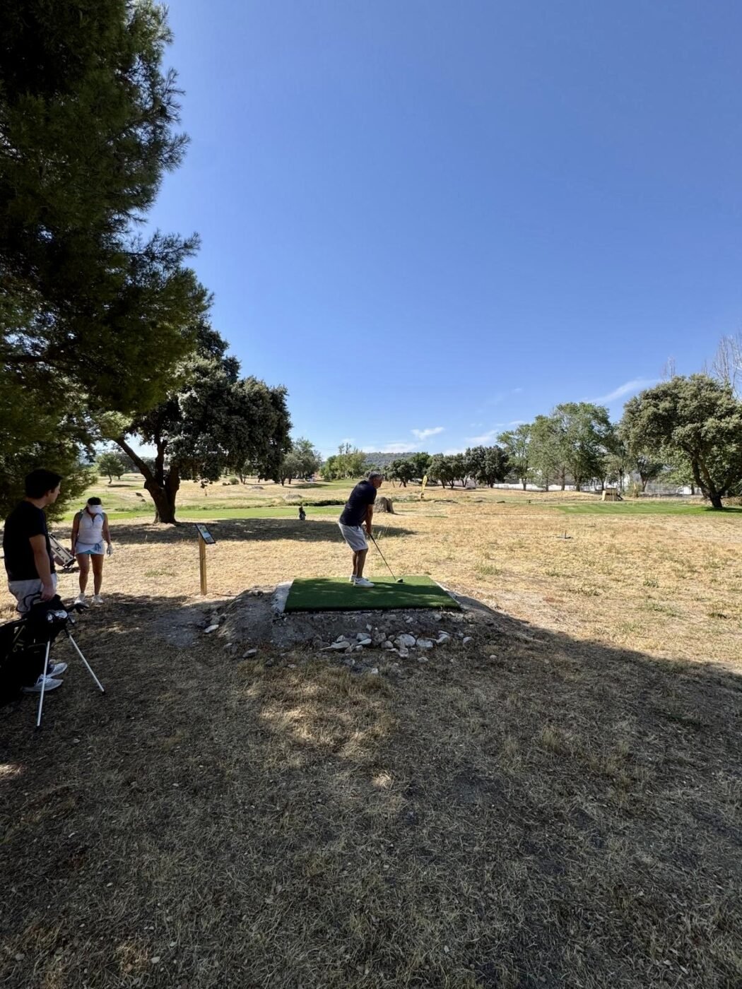 gallery grid image