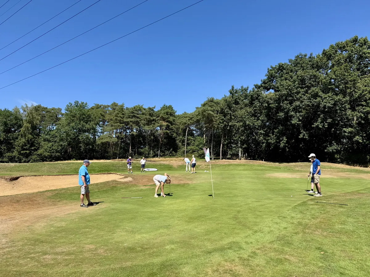 gallery grid image
