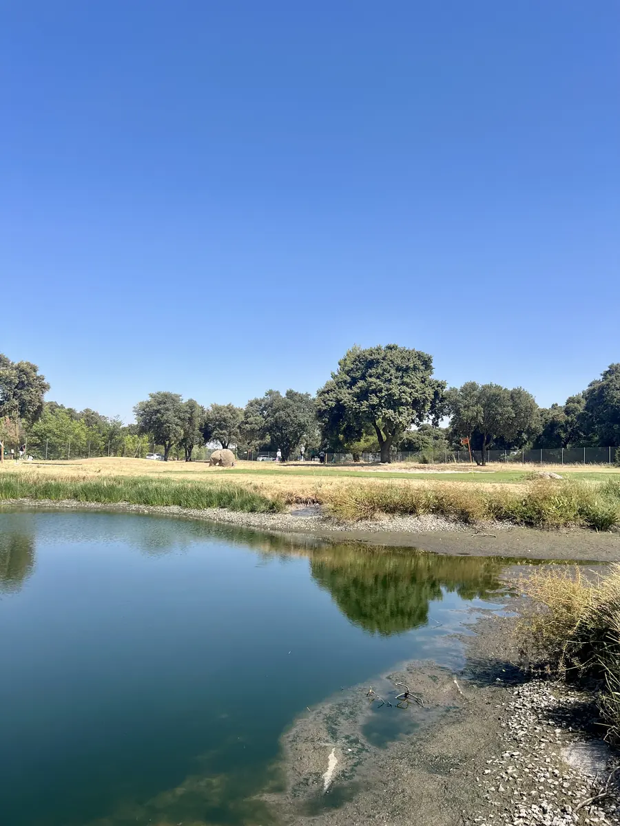 gallery grid image